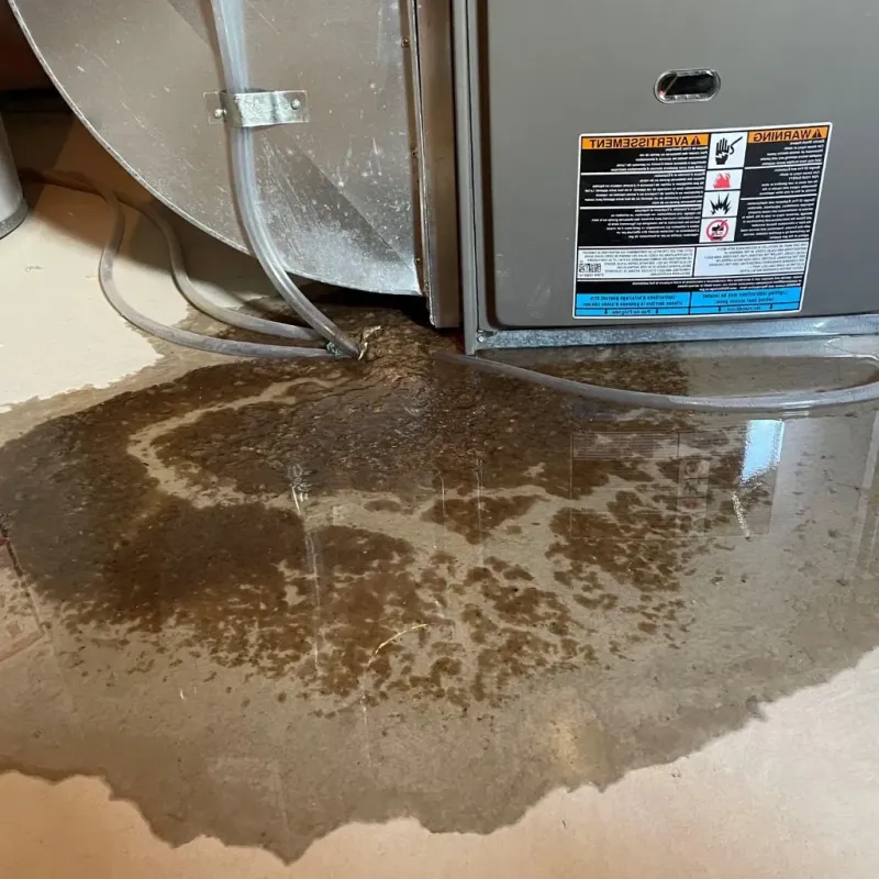 Pipe Burst and Leak Restoration in Stewart County, GA