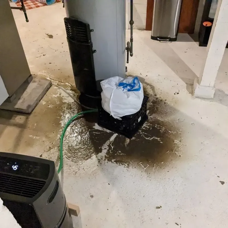 Sewage Backup Cleanup Service in Stewart County, GA